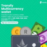 Mobile Wallets vs Traditional Online Payment Systems