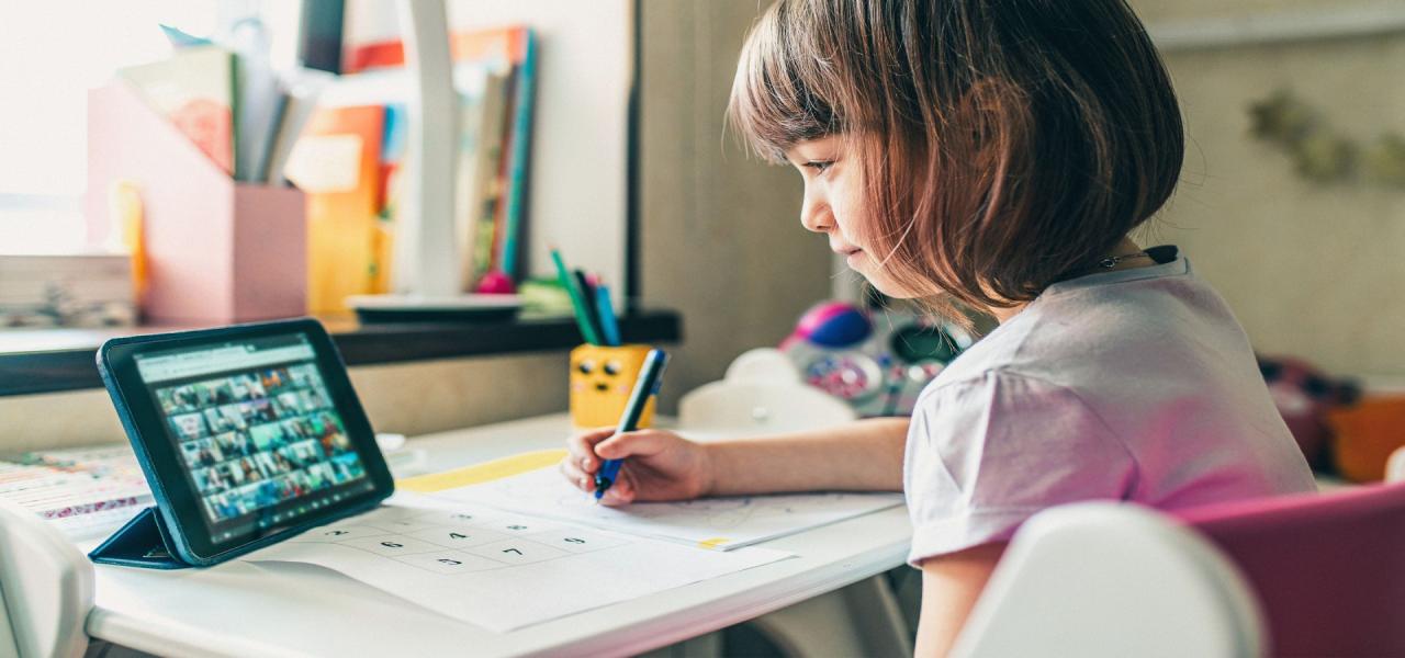 Shift remote affects insta Education Sector Adapts to Remote Learning
